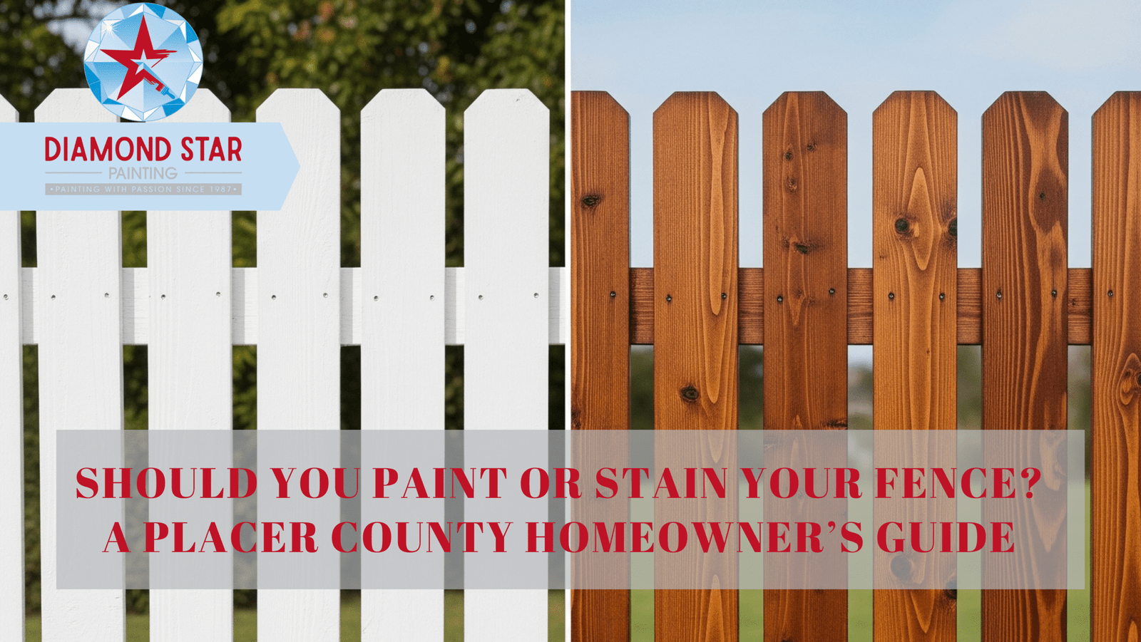 Should You Paint or Stain Your Fence